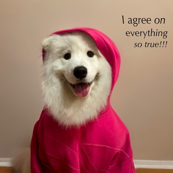 Meet your Posher, Julia - Picture 1 of 1